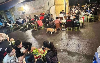 Ảnh vui 4-11: Cậu Vàng 'hot' nhất mạng xã hội lúc này
