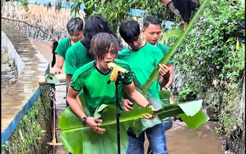 Ban nhạc 'cây nhà lá vườn' bất ổn