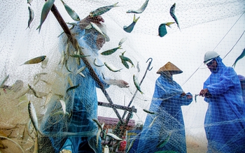 Catherine Karnow: Nhiếp ảnh là cách tôi lắng nghe