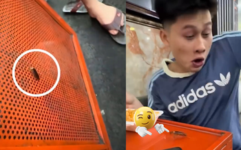 Nếu anh biến thành con gián em có yêu anh không?