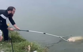 Cần thủ chán không buồn nói khi để sổng cá khủng