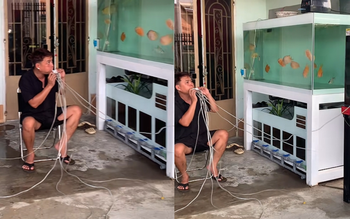 Nói chung nuôi cá cũng nhàn