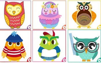 Quiz: Chọn một chú cú để khám phá con người thật của bạn