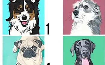 Quiz: Bạn là người như thế nào?