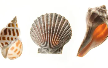 Quiz: Điểm yếu lớn nhất của bạn là gì?