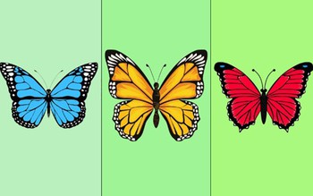 Quiz: Điều gì khiến bạn trở nên khác biệt so với mọi người?