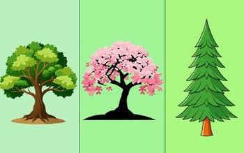 Quiz: Yếu tố nào giúp bạn đạt được thành công?