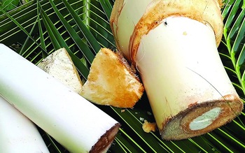 Đặng Phong thực phả (hay những công thức nấu ăn độc đáo của một sử gia kinh tế)