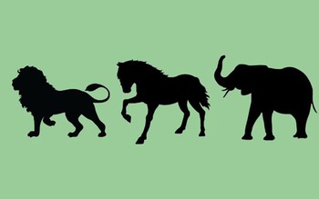 Quiz: Bạn là người thế nào?