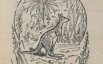 Mắt 10/10 mới thấy 3 con kangaroo trong hình