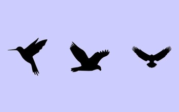 Quiz: Triết lý sống của bạn là gì?