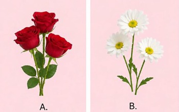 Quiz: Vận mệnh của bạn gắn liền với điều gì?
