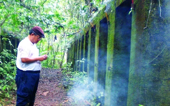 Vì "những cây sậy biết suy nghĩ"