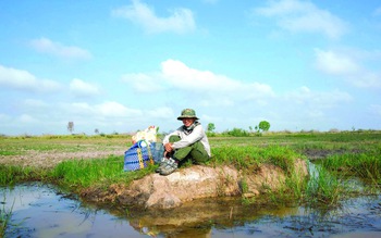 Hiểu chim để hiểu thiên nhiên Việt Nam