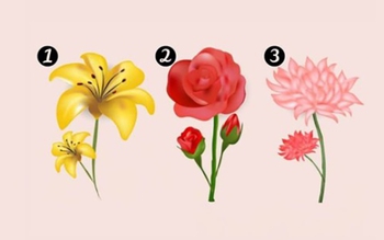 Quiz: Thiên thần hộ mệnh đang mách bảo bạn điều gì?