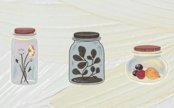 Quiz: Điểm mạnh nổi bật nhất của bạn là khả năng lãnh đạo?