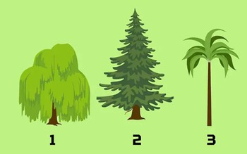 Quiz: Bạn bình tĩnh và hiếm khi bốc đồng?
