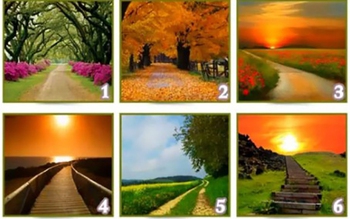 Quiz: Bạn là người thế nào?