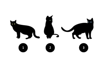 Quiz: Bạn cần thay đổi gì để cuộc sống hạnh phúc hơn?