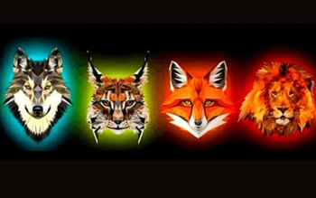 Quiz: Bạn có phải là một nhà lãnh đạo bẩm sinh?