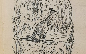 Thử tài tinh mắt: Tìm 3 con kangaroo trong hình