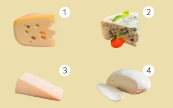Quiz: Bạn sở hữu tư duy độc đáo hay là người năng động?