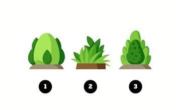 Quiz: Bạn nên đầu tư thời gian vào việc gì nhiều hơn?