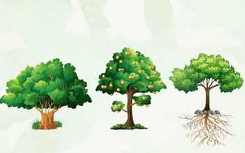 Quiz: Bạn là người rất tự tin?