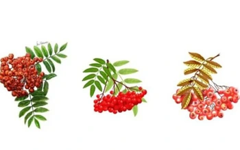 Quiz: Vũ trụ tặng bạn món quà gì?
