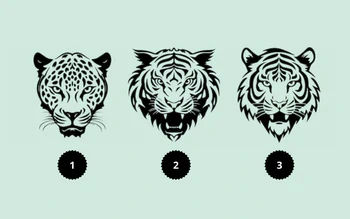Quiz: Cảm xúc nào đang chi phối bạn?