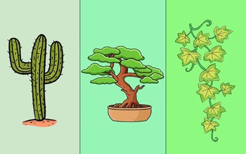Quiz: Bạn đối mặt với thay đổi của cuộc sống như thế nào?