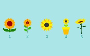 Quiz: Những bí mật sâu kín nhất của tâm hồn bạn