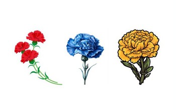 Quiz: Mọi người nghĩ gì về bạn?