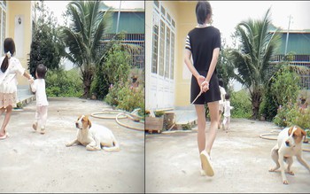 Chú chó cảnh giác tột độ khi thấy cô chủ cầm roi