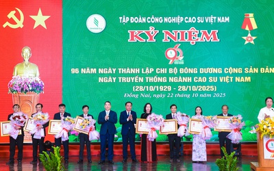 96 năm - từ dòng mủ trắng đến sức mạnh xanh của ngành cao su Việt Nam
