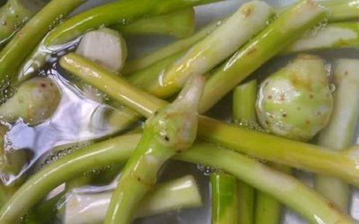 Canh ngó môn, món canh trong miền ký ức