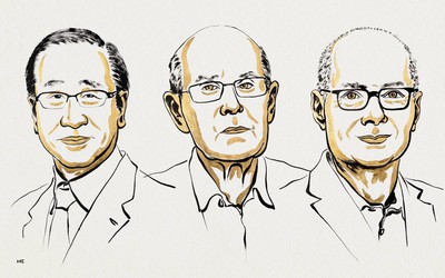 Nobel Hóa học 2025: Từ 'đồ chơi xếp hình' đến vật liệu thế kỷ