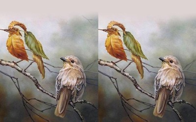 Quiz: Bạn là chỗ dựa vững chắc cho bạn đời hay là người lệ thuộc