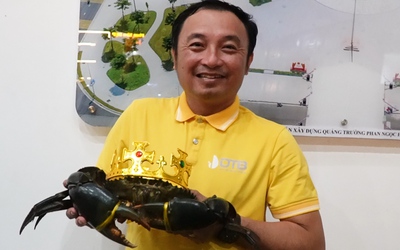 'Vua cua' Cà Mau 2025 nặng 1,82kg được đề nghị công nhận kỷ lục Việt Nam