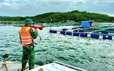 Đắk Lắk ra công điện khẩn ứng phó với bão số 15, sơ tán dân khỏi khu vực nguy hiểm