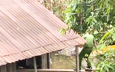 Hiện trường hai mẹ con nghi bị điện giật chết trong lúc đi tắm ở Đồng Tháp