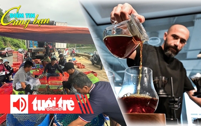 Điểm tin cùng bạn 8h: Bán tháo tôm hùm chạy bão số 13; Ly cà phê đắt nhất thế giới