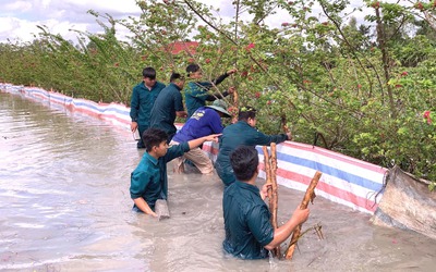Đồng bằng sông Cửu Long vào đợt triều cường mới cao hơn mức báo động 3 40cm