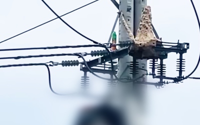 Trèo lên trụ điện bắt tổ ong vò vẽ, thanh niên ở Cần Thơ bị điện giật tử vong