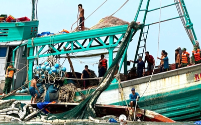 Kịp thời cứu 13 ngư dân trong vụ chìm tàu cá gần đảo Hòn Chuối