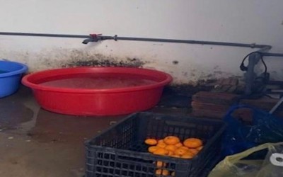 Phát hiện loạt vi phạm vệ sinh an toàn thực phẩm trong cung cấp suất ăn bán trú cho học sinh