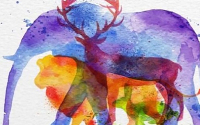 Quiz: Bạn thông minh, mạnh mẽ hay là người có lòng tự trọng cao