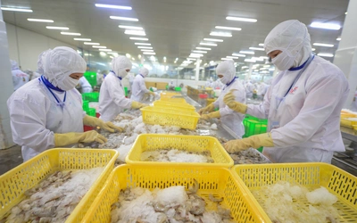 Từ tôm đến gỗ, nhiều doanh nghiệp Việt tăng tốc giao hàng sang Mỹ