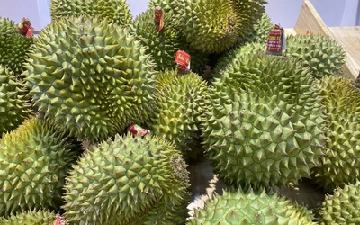 Được đề nghị công bố kết quả kiểm tra phân DAP Hàn Quốc, Cục Trồng trọt và Bảo vệ thực vật nói gì?