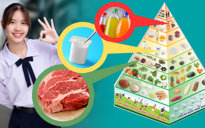 Cách đọc hiểu tháp dinh dưỡng của người Việt Nam theo từng nhóm tuổi